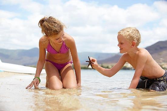kids playing on the beach
